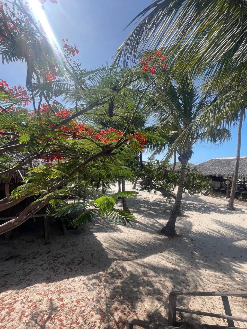 Atins Beach Chales Экстерьер фото